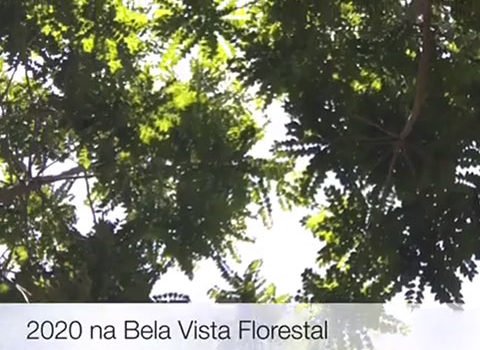 OS DESAFIOS DA BELA VISTA EM 2020